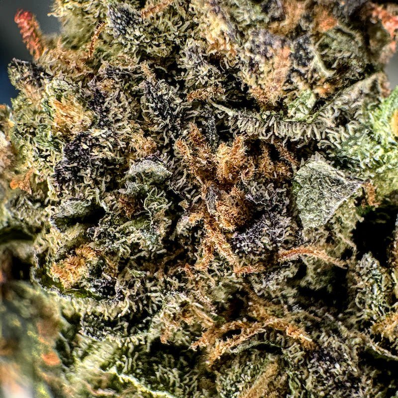 Candy Grape Glas - Blüten - Hanfify®