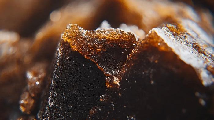 Hanfify: Cannabis legal online kaufen in Deutschland