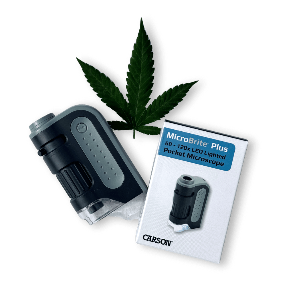 Carson Mikroskop MicroBrite Plus MM-300 - Growshop - Hanfify®
