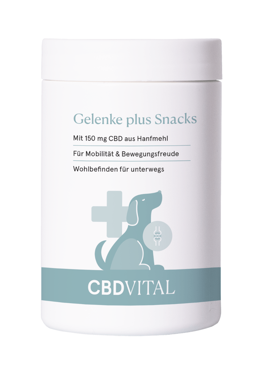 CBD Gelenke plus Snacks | Hunde | Gelenksschutz CBD für Tiere 150 g - Hanfify