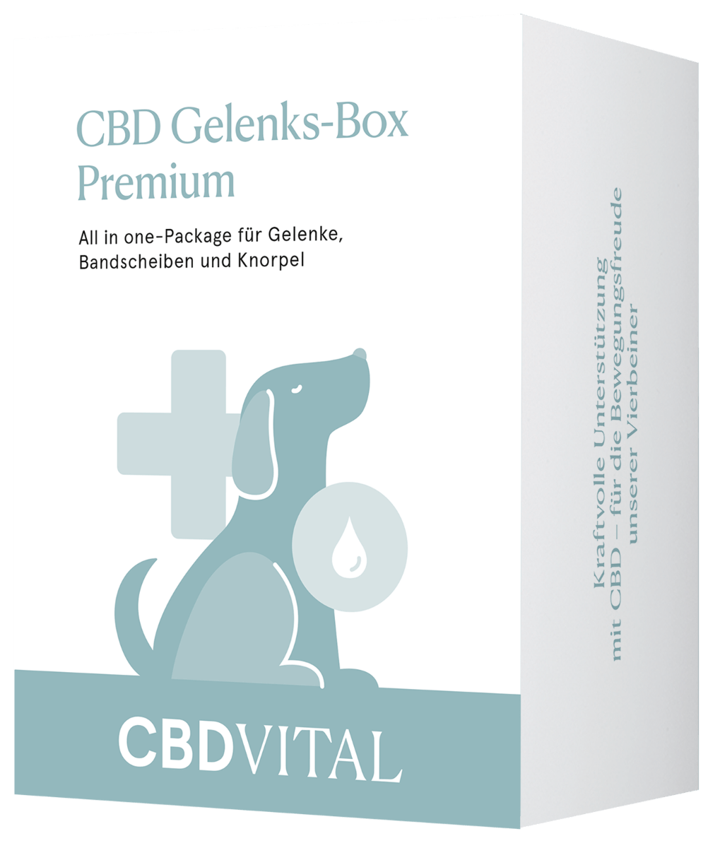 CBD Gelenks - Box Premium CBD für Tiere 2 Stk. - Hanfify