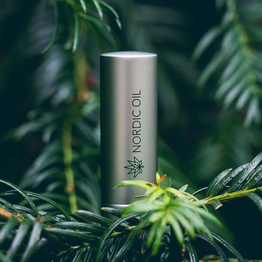 CBD Lippenpflege Kosmetik & Pflege - Hanfify