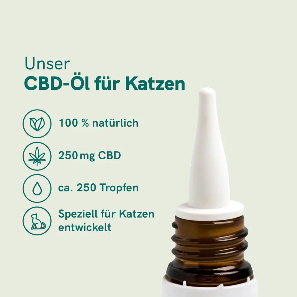 CBD Öl für Katzen - Fisch (2,5%) CBD für Tiere - Hanfify