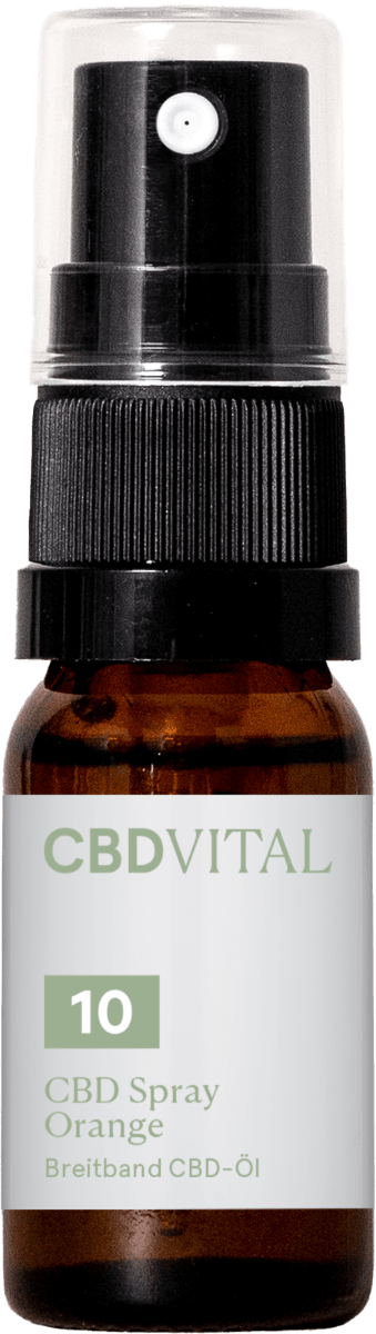 CBD Spray Orange 10% Sprays 10 ml - Hanfify