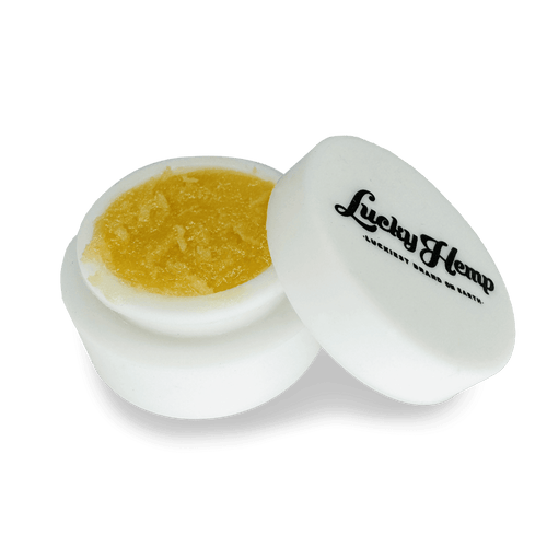 CBD Wax Lemon Cherry Gelato - Hasch - Hanfify®