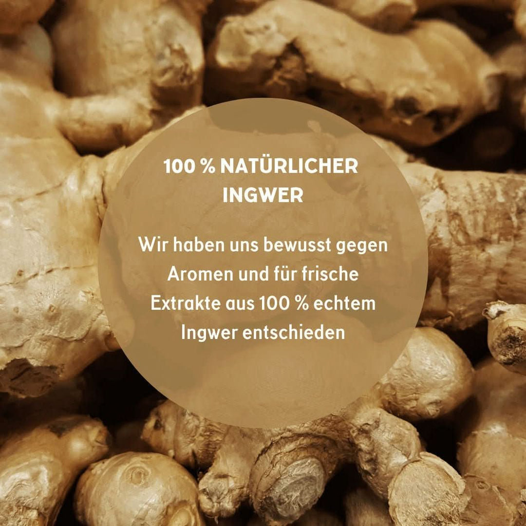 🌱 CBD+Ingwer Naturextrakt PREMIUM Öl 10ml - Öl - Hanfify®