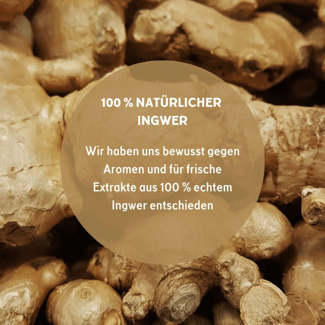 🌱 CBD+Ingwer Naturextrakt PREMIUM Öl 10ml Öl - Hanfify