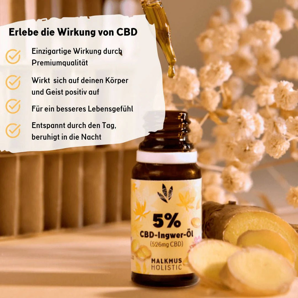 🌱 CBD+Ingwer Naturextrakt PREMIUM Öl 10ml Öl - Hanfify®