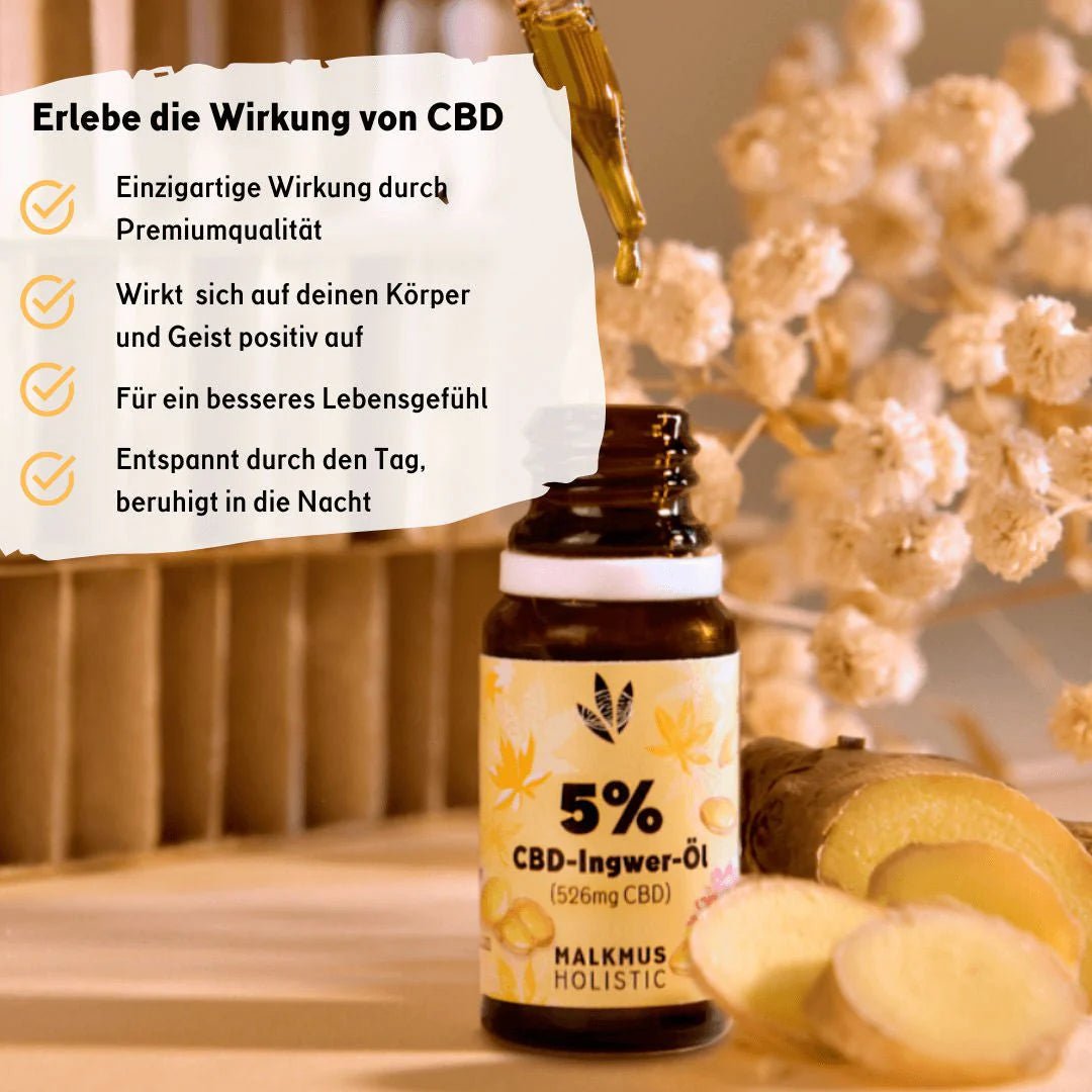 🌱 CBD+Ingwer Naturextrakt PREMIUM Öl 10ml Öl - Hanfify®