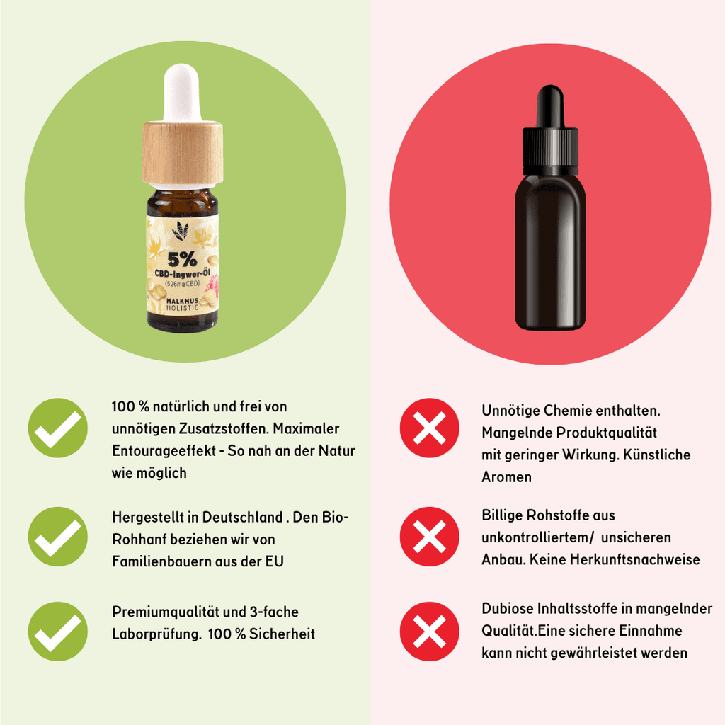 🌱 CBD+Ingwer Naturextrakt PREMIUM Öl 10ml Öl - Hanfify®