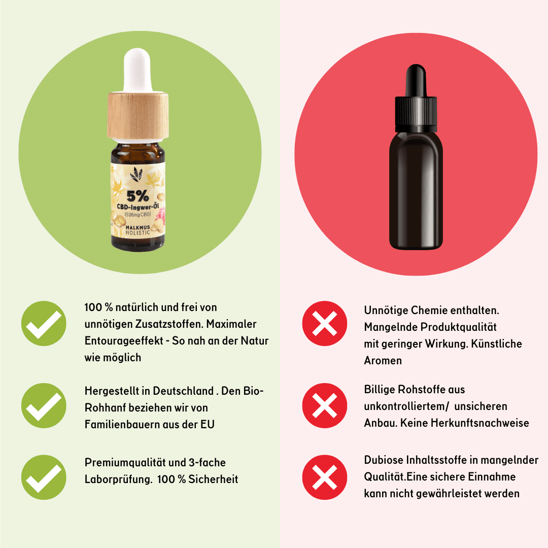 🌱 CBD+Ingwer Naturextrakt PREMIUM Öl 10ml Öl - Hanfify®