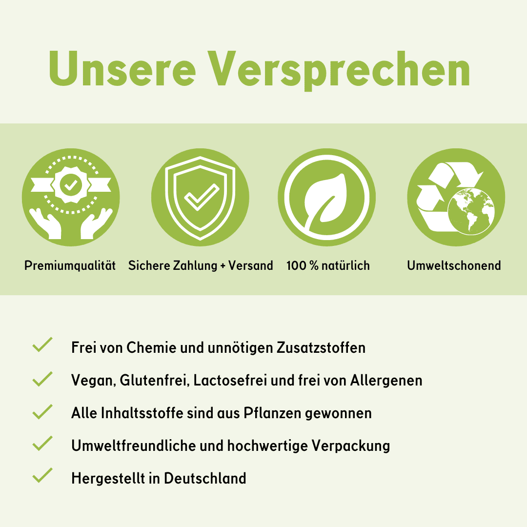 🌱 CBD+Ingwer Naturextrakt PREMIUM Öl 10ml Öl - Hanfify