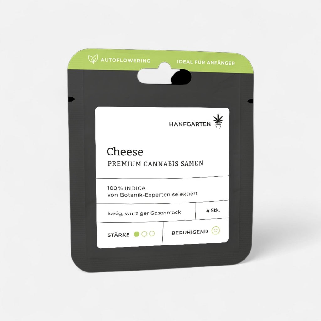 Cheese | Autoflowering Cannabissamen - Hanfify