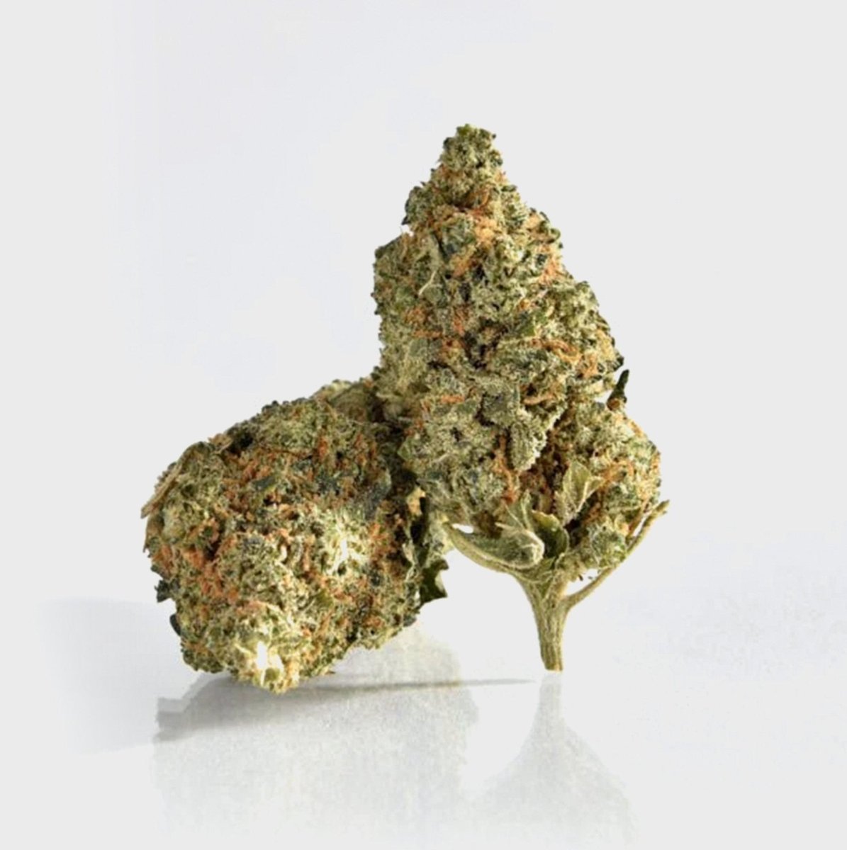 🍒 Cherry Calussi 14% CBD Blüten 3g Dose - Hanfify®