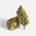 🍒 Cherry Calussi 14% CBD - Blüten - Hanfify®