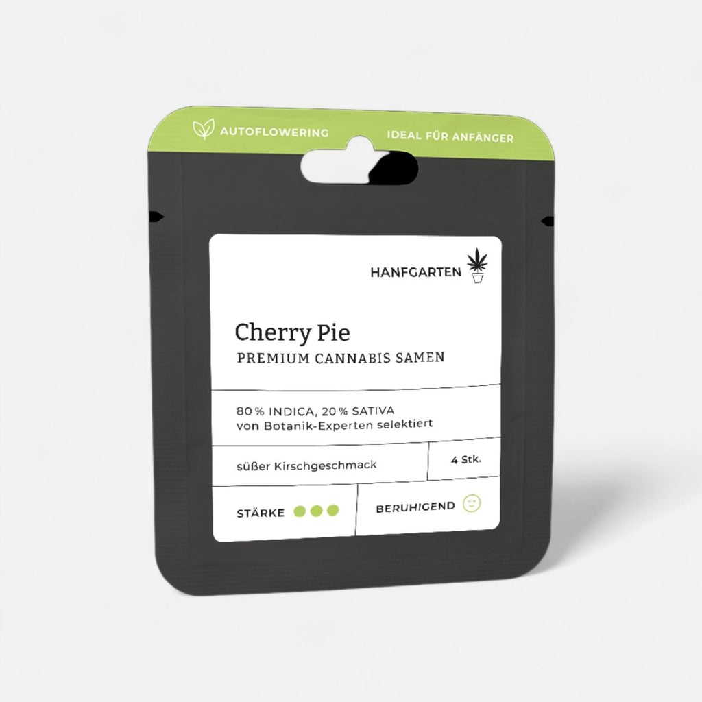 Cherry Pie | Autoflowering Cannabissamen - Hanfify