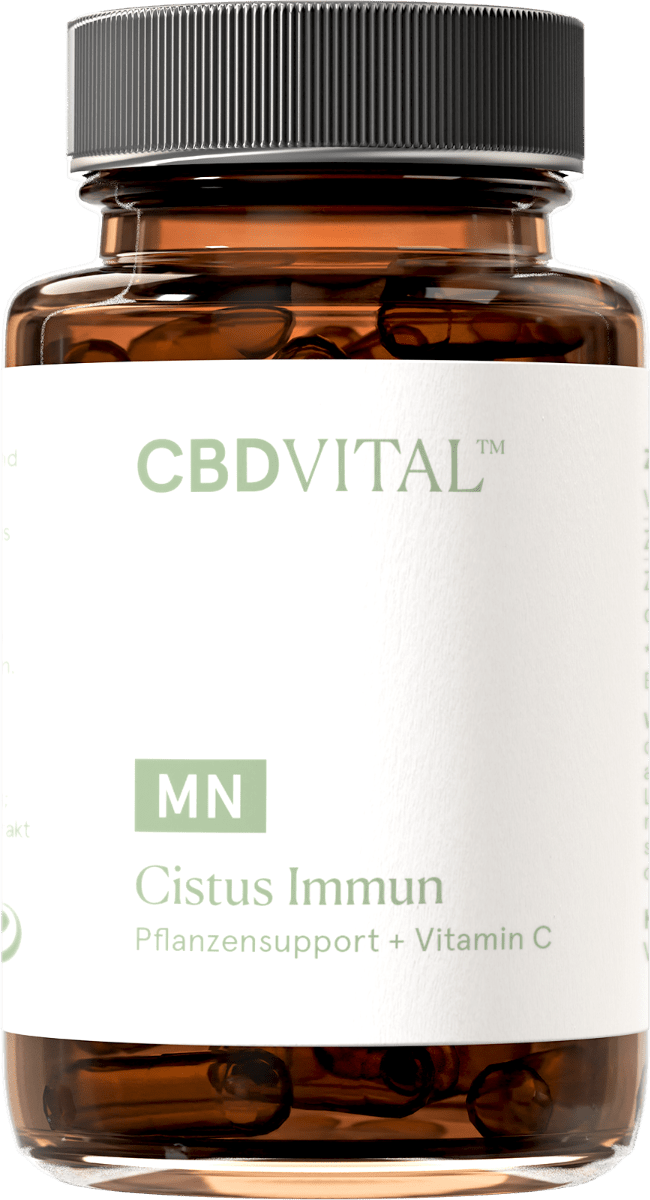 Cistus Immun Supplements 60 Kapseln - Hanfify