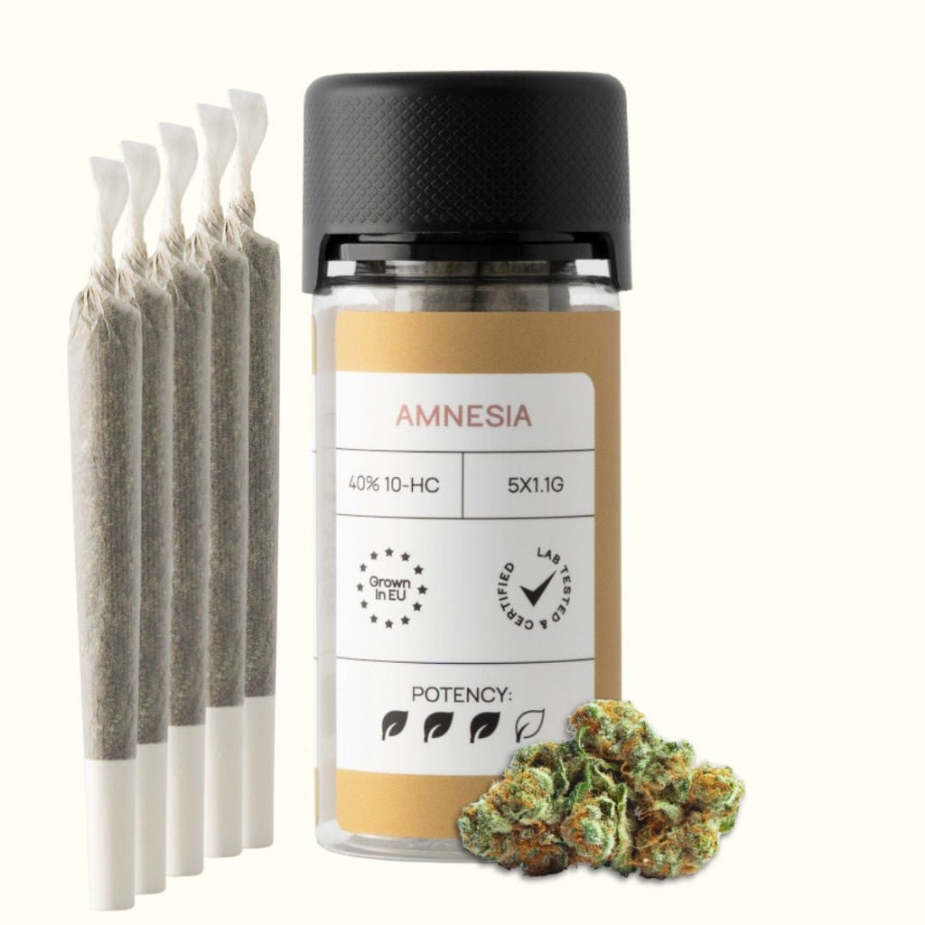 CLASSIC JOINTS (40% 10 - HC) | BLÜTE: AMNESIA Joints 3 STK. - Hanfify
