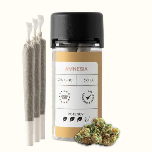 CLASSIC JOINTS (40% 10 - HC) | BLÜTE: AMNESIA Joints 3 STK. - Hanfify