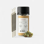 CLASSIC JOINTS AMNESIA Joints 3 Stück - Hanfify