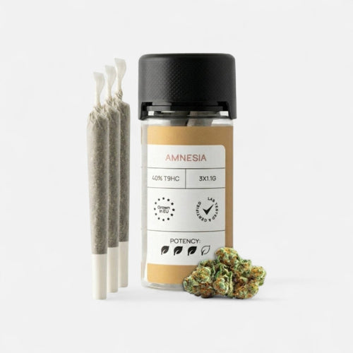 CLASSIC JOINTS AMNESIA Joints 3 Stück - Hanfify