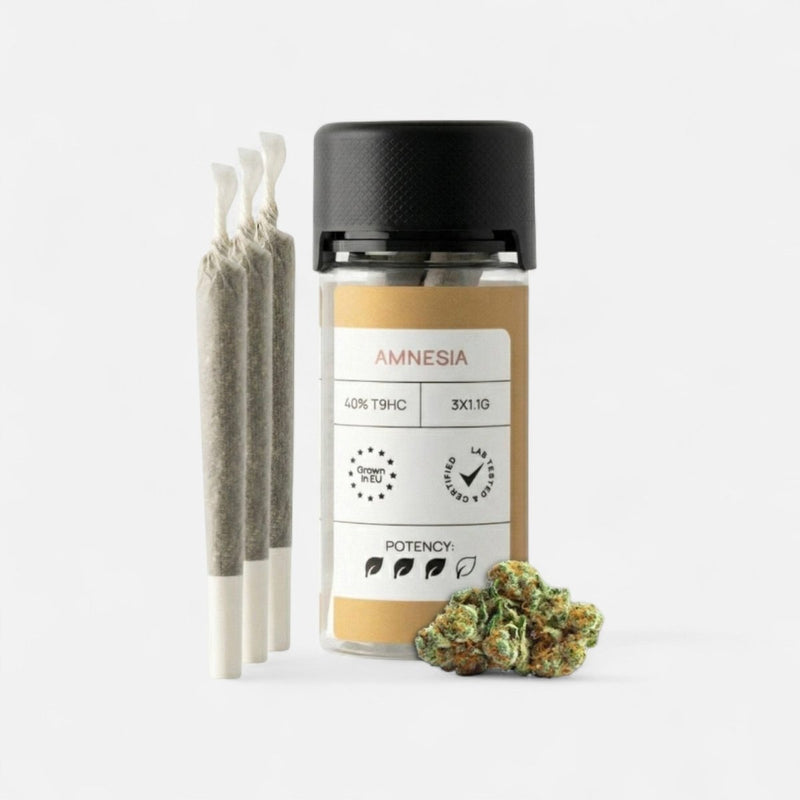 CLASSIC JOINTS AMNESIA Joints 3 Stück - Hanfify