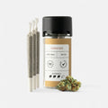 CLASSIC JOINTS AMNESIA Joints 3 Stück - Hanfify