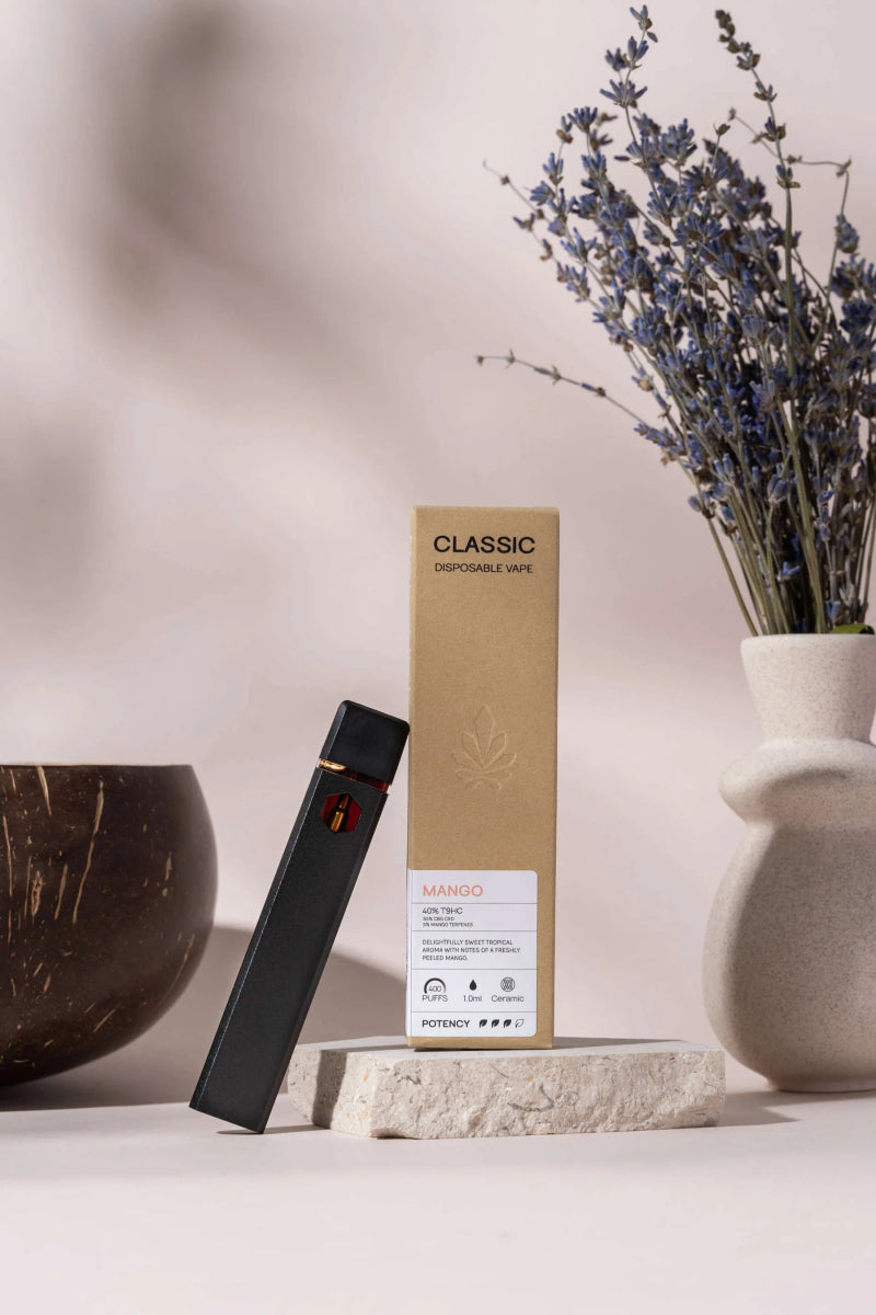 CLASSIC Vape Vapes 🍑 Pfirsich - Hanfify