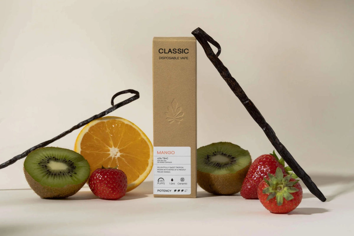 CLASSIC Vape Vapes 🍑 Pfirsich - Hanfify