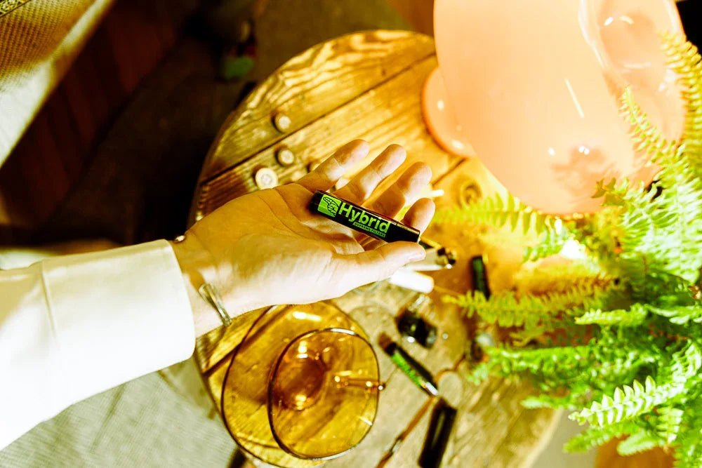 Clipper Classic Headshop - Hanfify