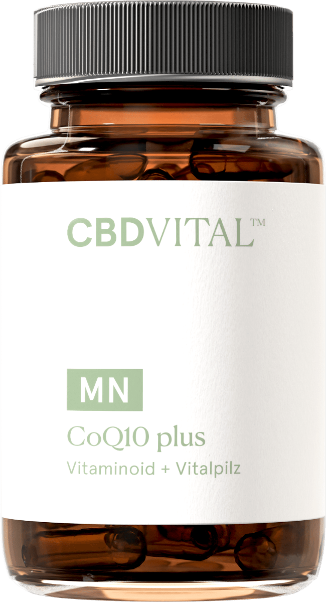 Coenzym Q10 plus Supplements 60 Kapseln - Hanfify