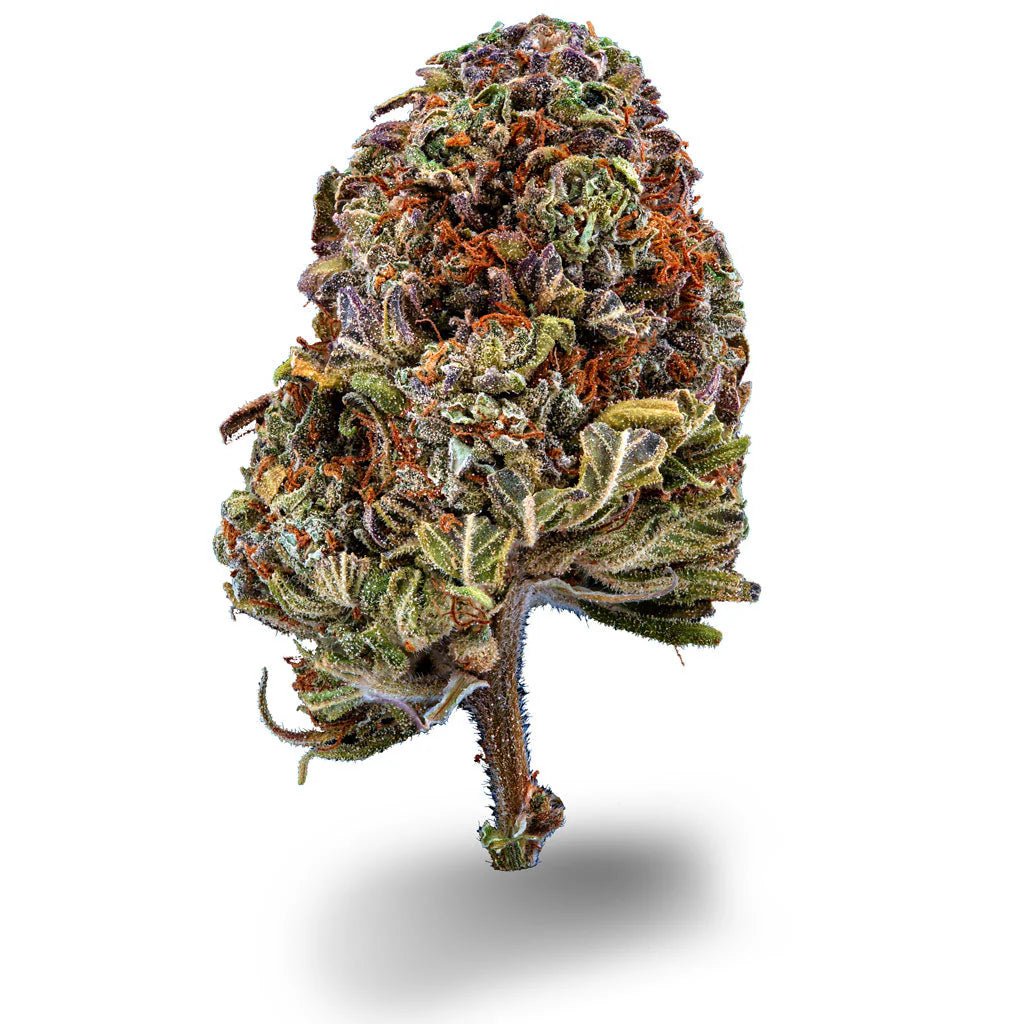 Cream Mandarin Blüten 2,5g - Hanfify