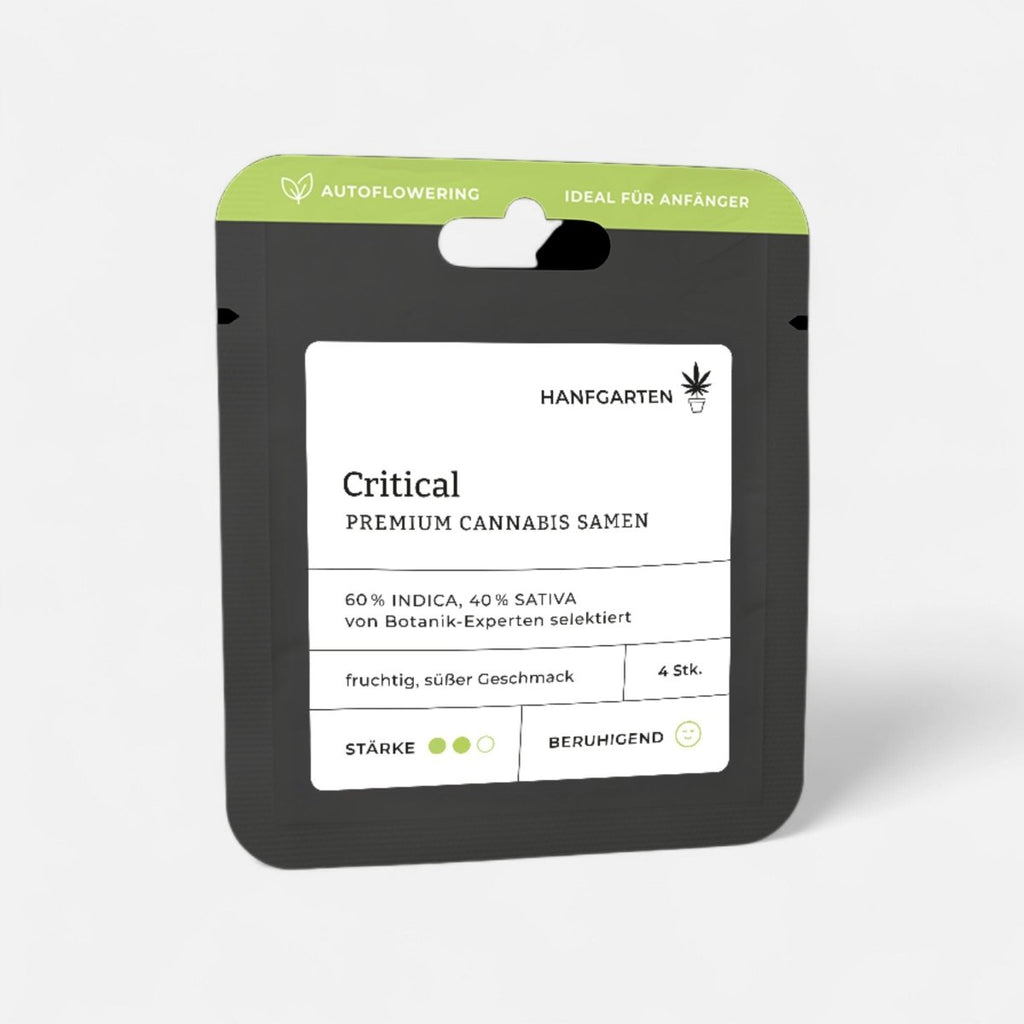 Critical | Autoflowering - Cannabissamen - Hanfify®