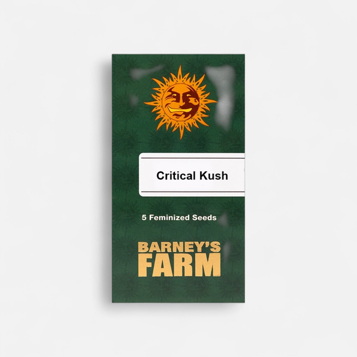 Critical Kush | Feminisiert - Cannabissamen - Hanfify®