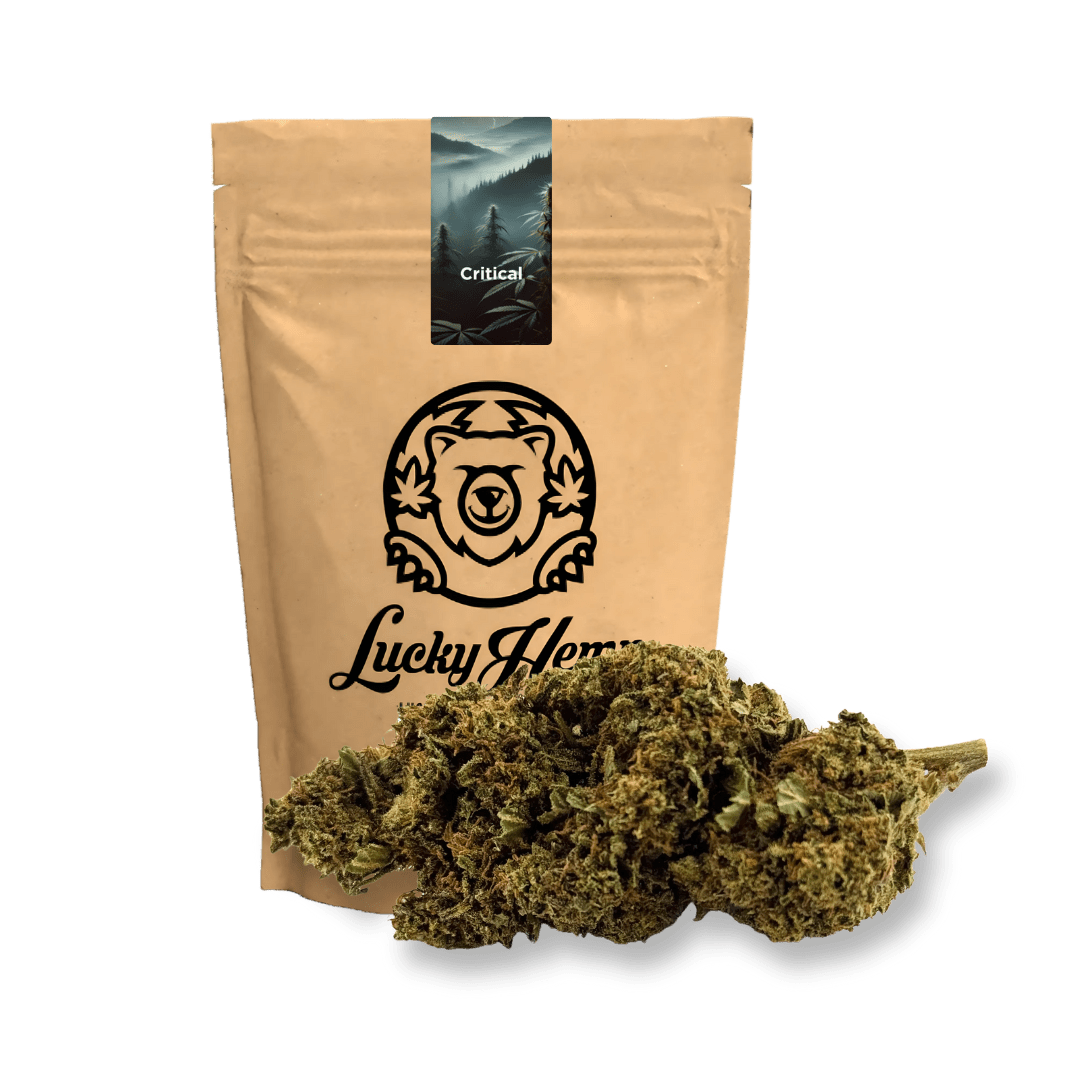 Critical Ökopack Blüten 5g - Hanfify®