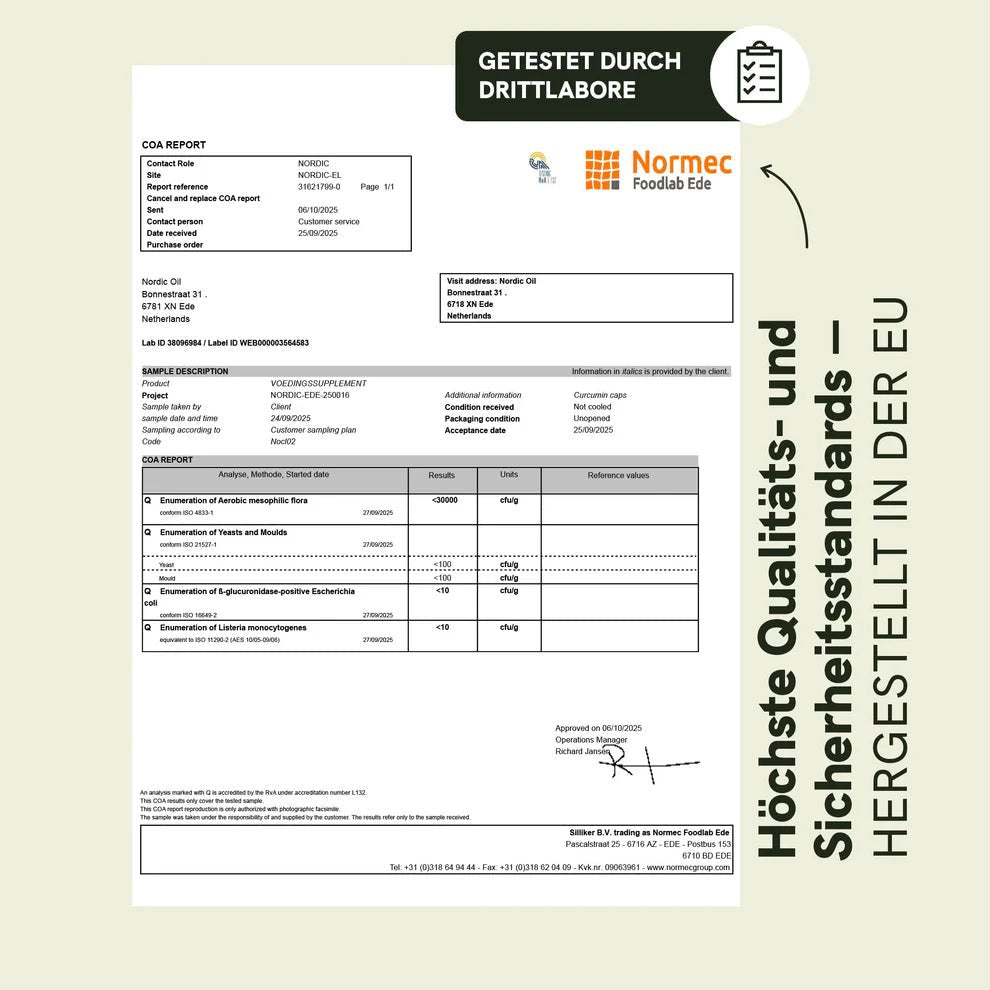 Curcumin Kapseln Supplements - Hanfify