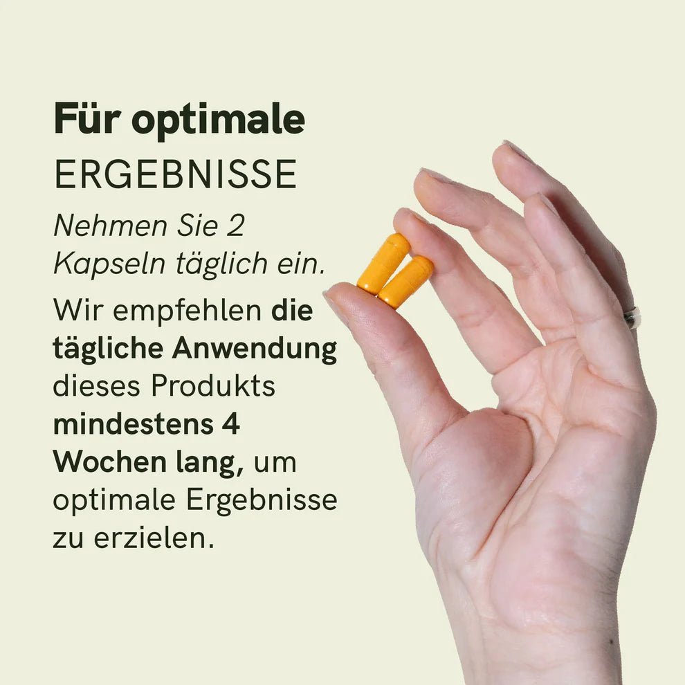 Curcumin Kapseln Supplements - Hanfify