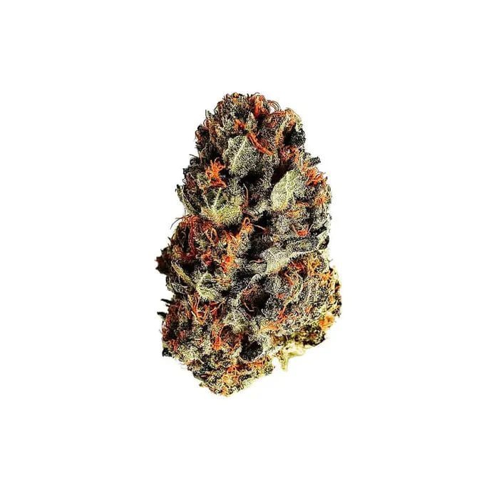 Dance World | Feminisiert - Cannabissamen - Hanfify®