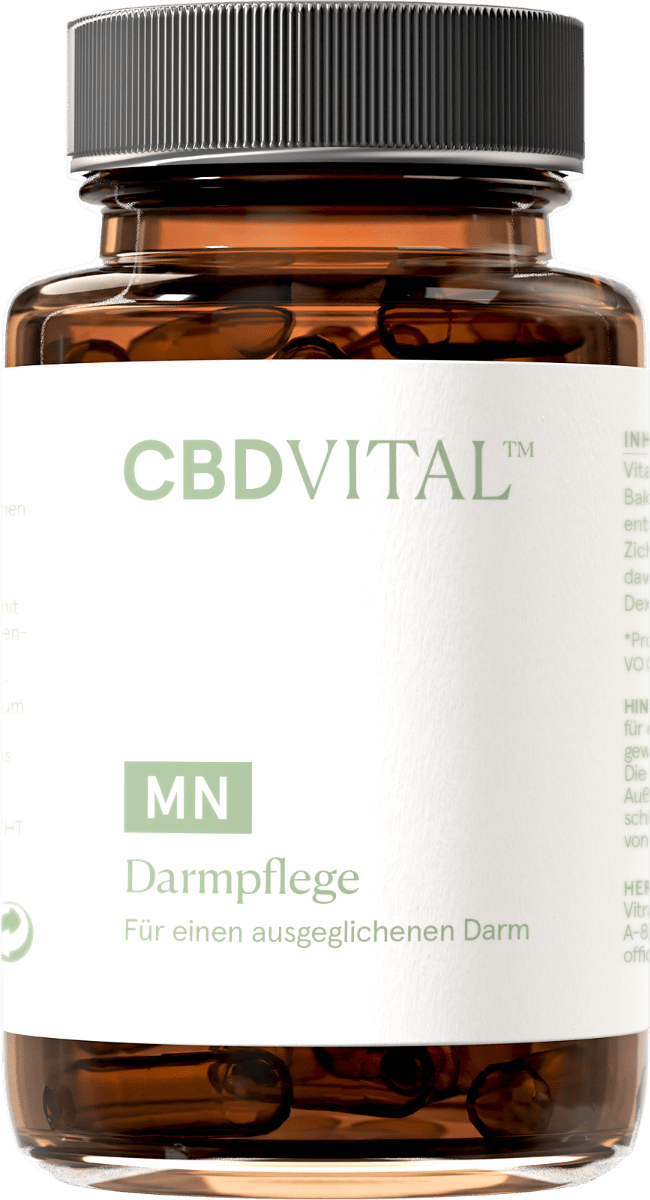 Darmpflege Supplements 60 Kapseln - Hanfify