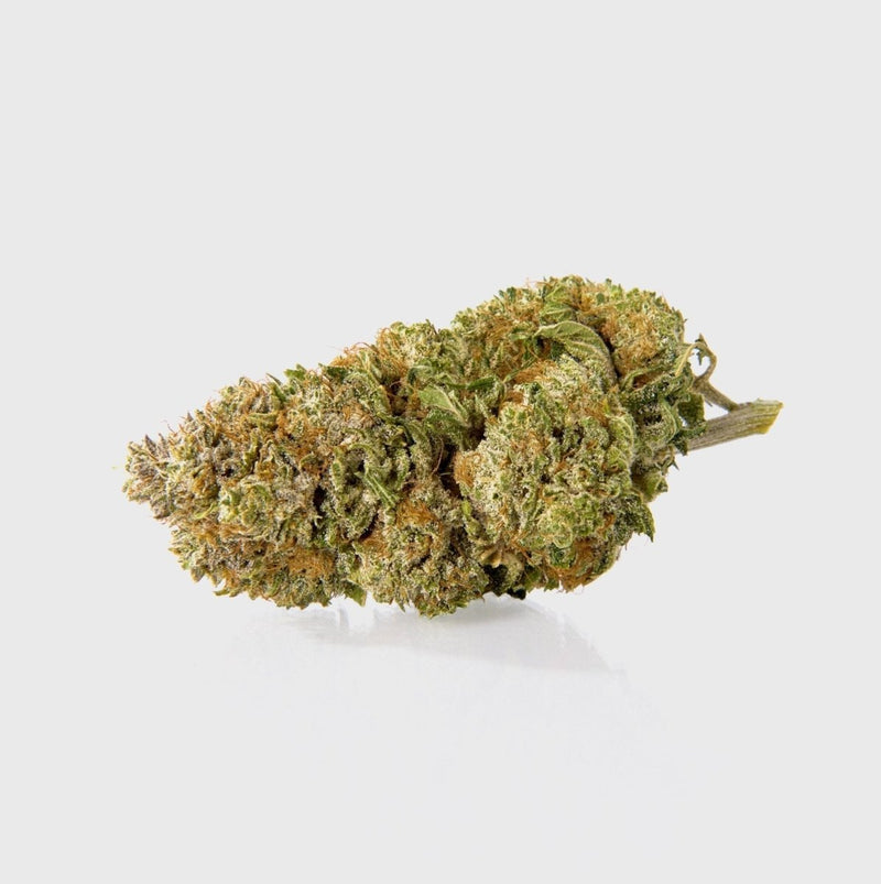 🌿 DASH 14% CBG by Marvin Game Blüten 3g Dose - Hanfify®