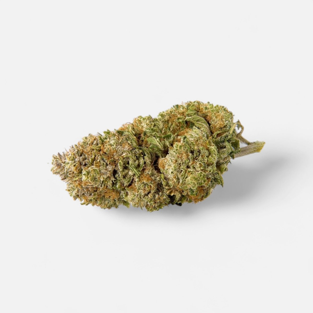 🌿 DASH 14% CBG by Marvin Game Blüten 3g Dose - Hanfify