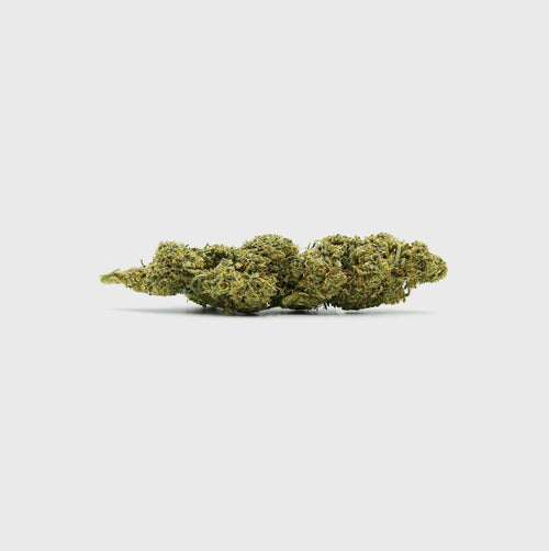 Diesel Dynamite - SATIVA TURBO LVL 5/5 Blüten 5g - Hanfify®