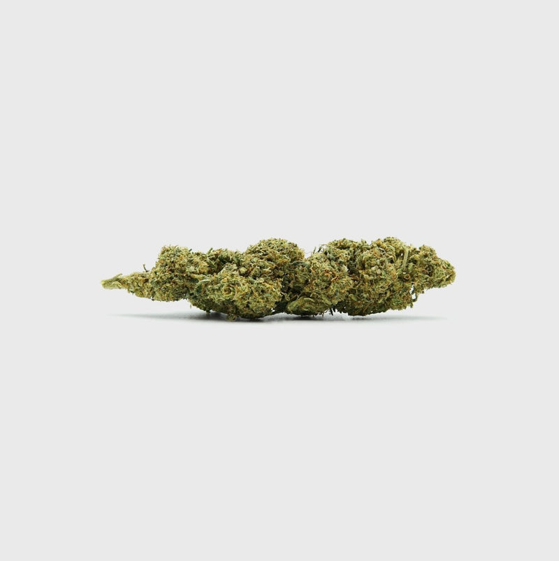 Diesel Dynamite - SATIVA TURBO LVL 5/5 Blüten 5g - Hanfify®