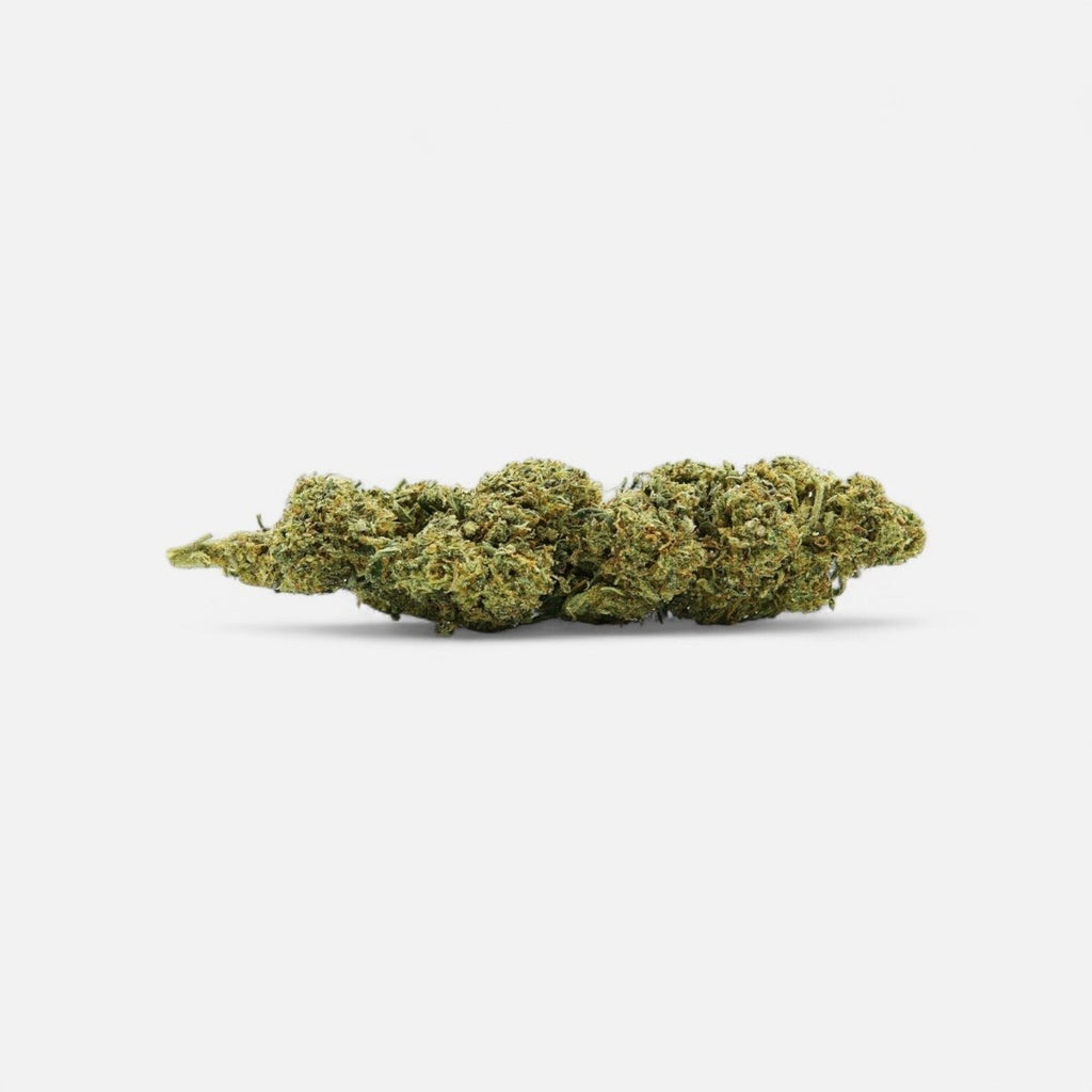 💥 Diesel Dynamite - SATIVA TURBO LVL 5/5 - Blüten - Hanfify®