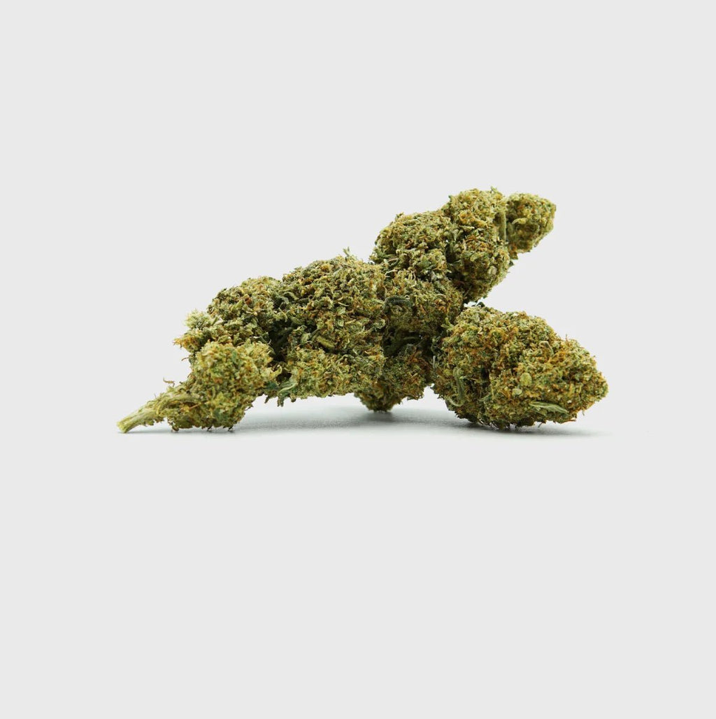 💥 Diesel Dynamite - SATIVA TURBO LVL 5/5 - Blüten - Hanfify®