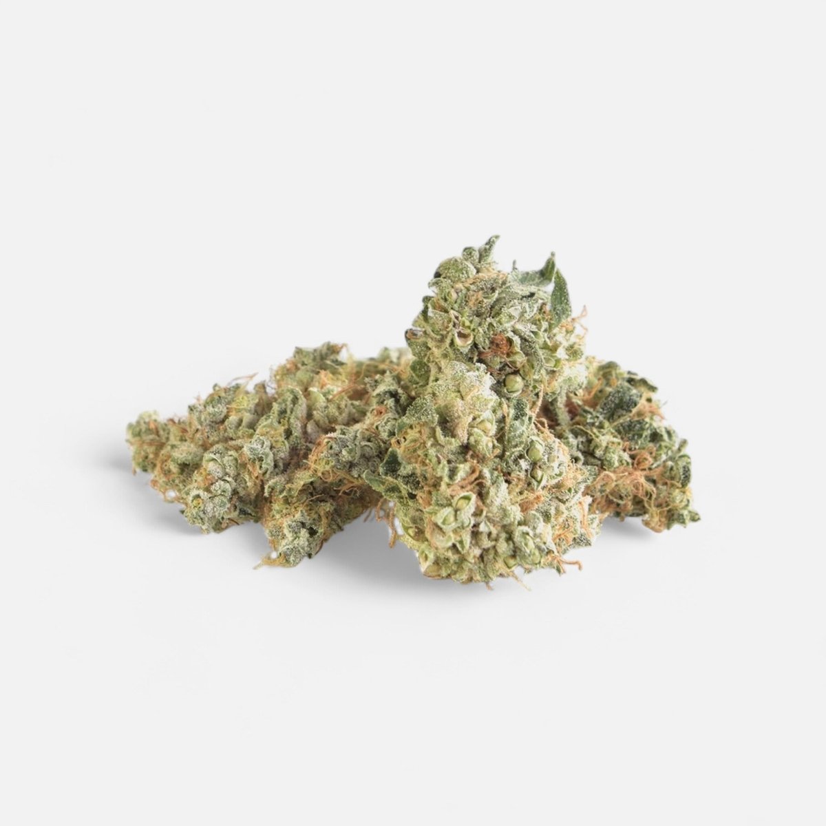 🩺 Doctor White 14% CBG Blüten 5g Baggie - Hanfify