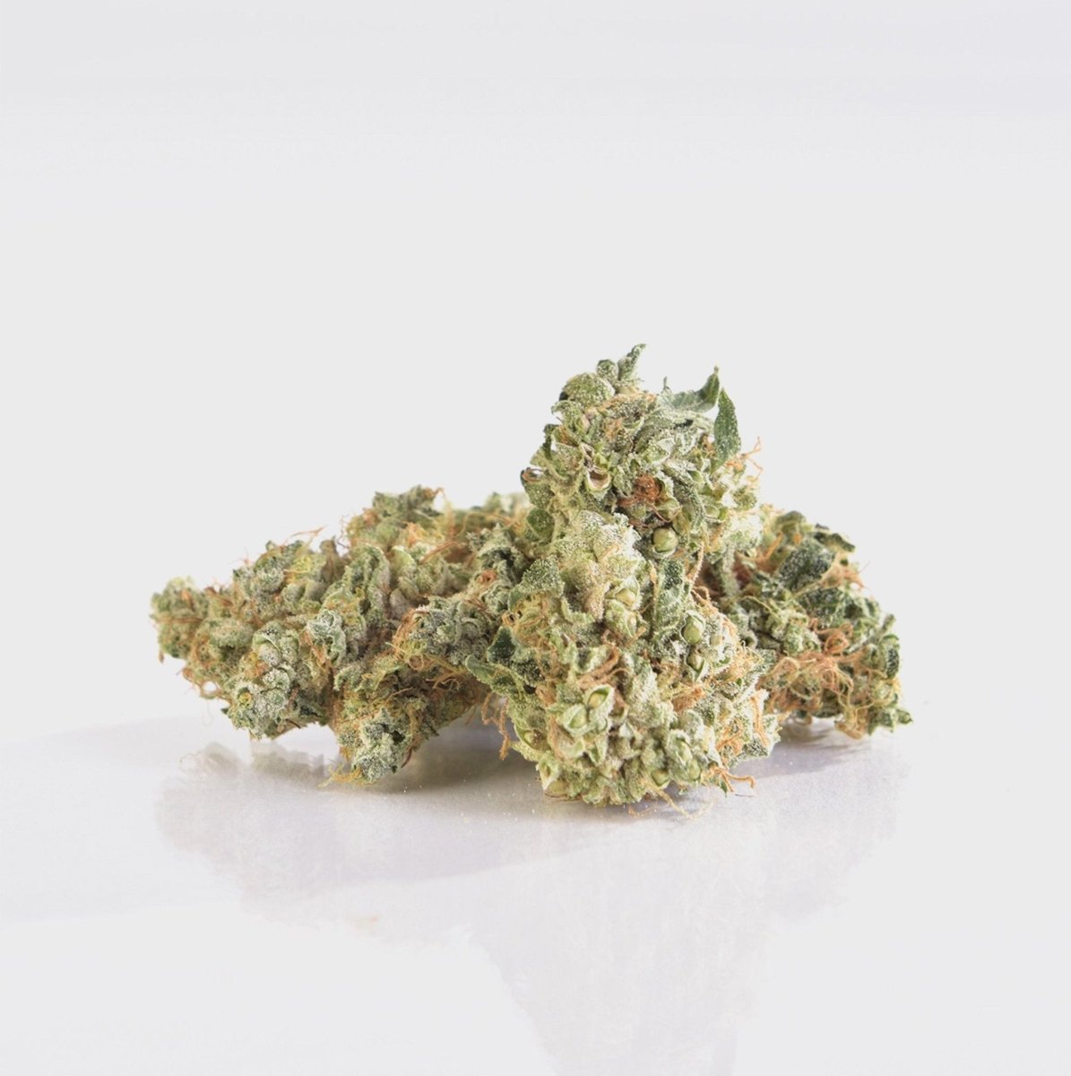 🩺 Doctor White 14% CBG Blüten 5g Baggie - Hanfify®
