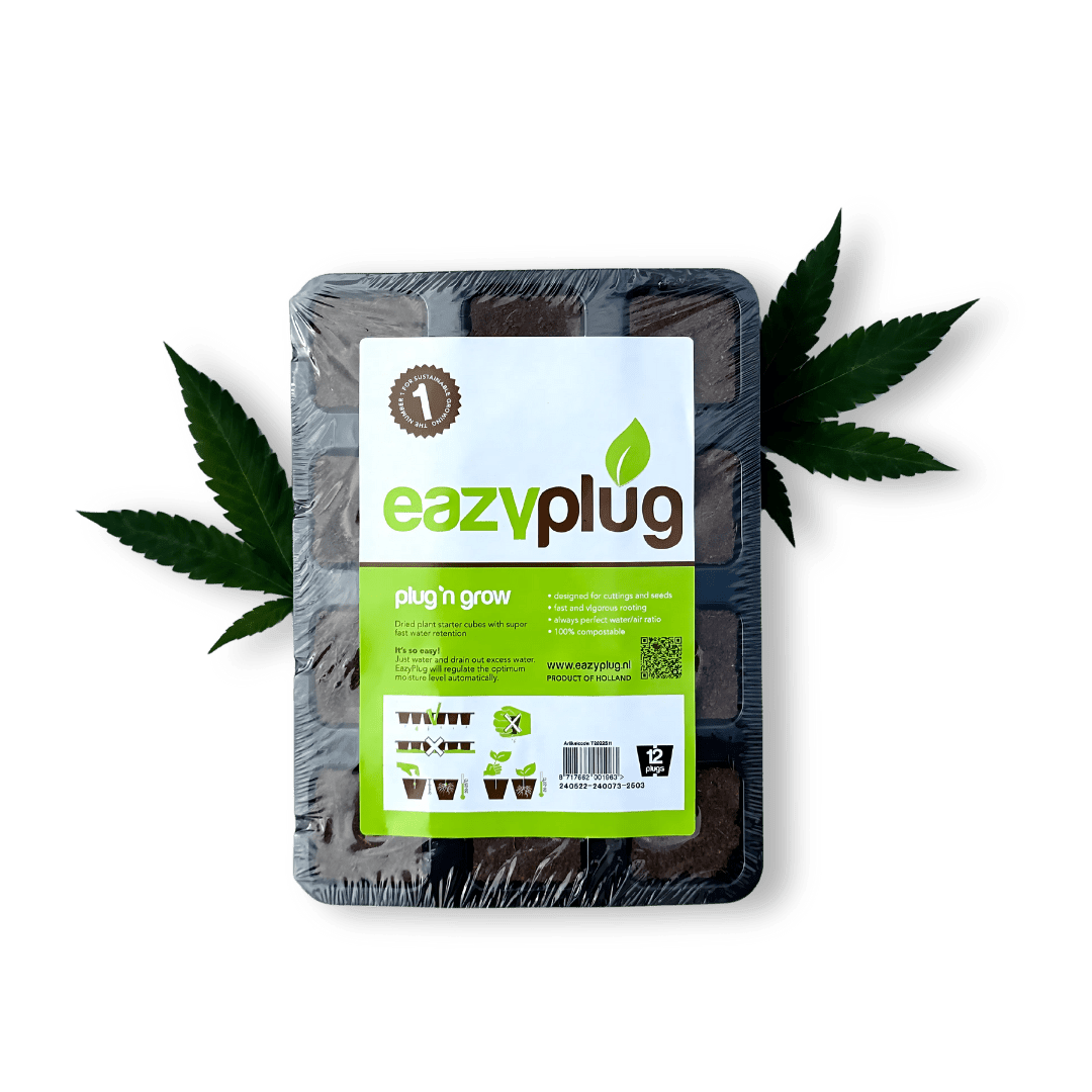 Eazy Plug 12er Tray - Growshop - Hanfify®