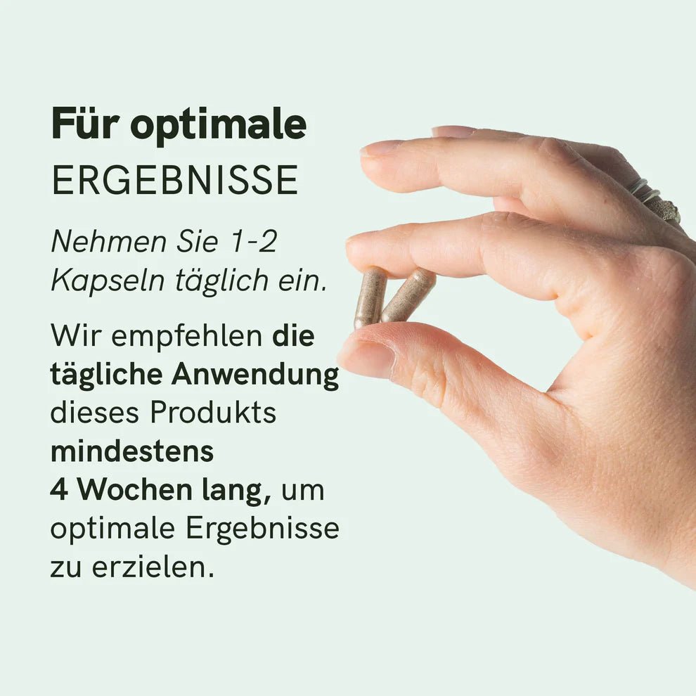 Eisen & Vitamin C Kapseln Supplements - Hanfify