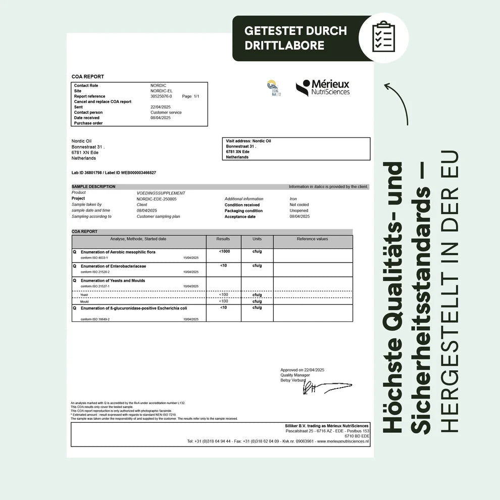 Eisen & Vitamin C Kapseln Supplements - Hanfify